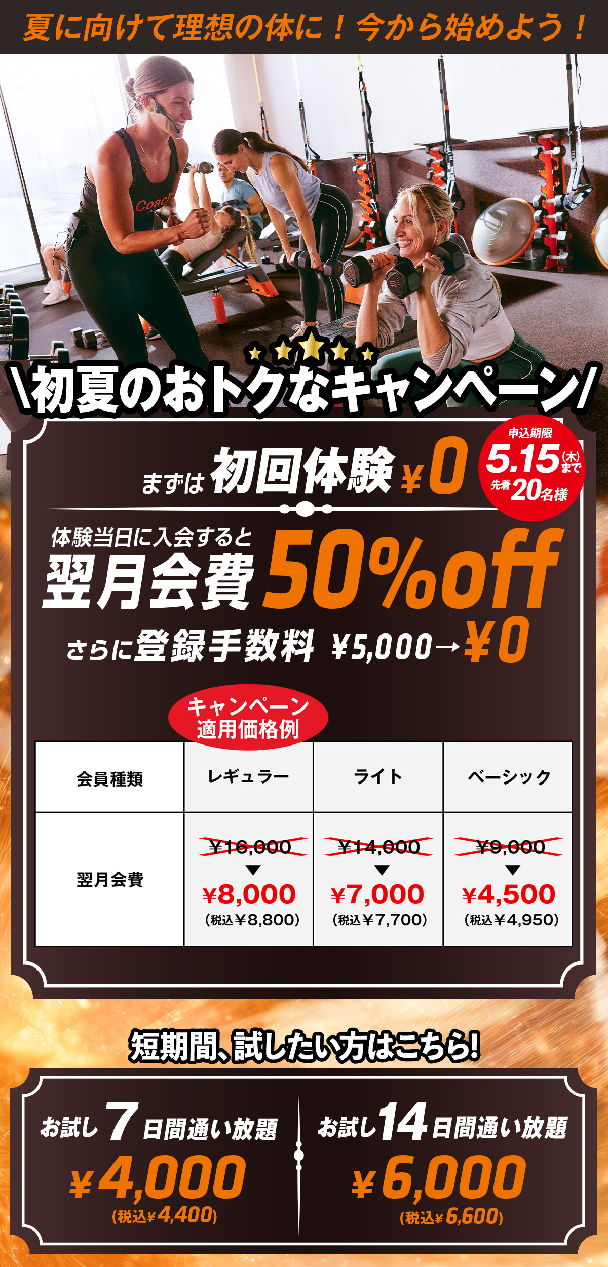 キャンペーン