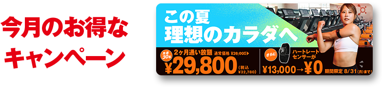 今月のお得なキャンペーン